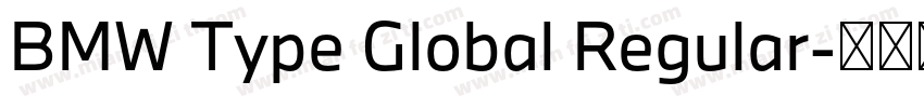 BMW Type Global Regular字体转换